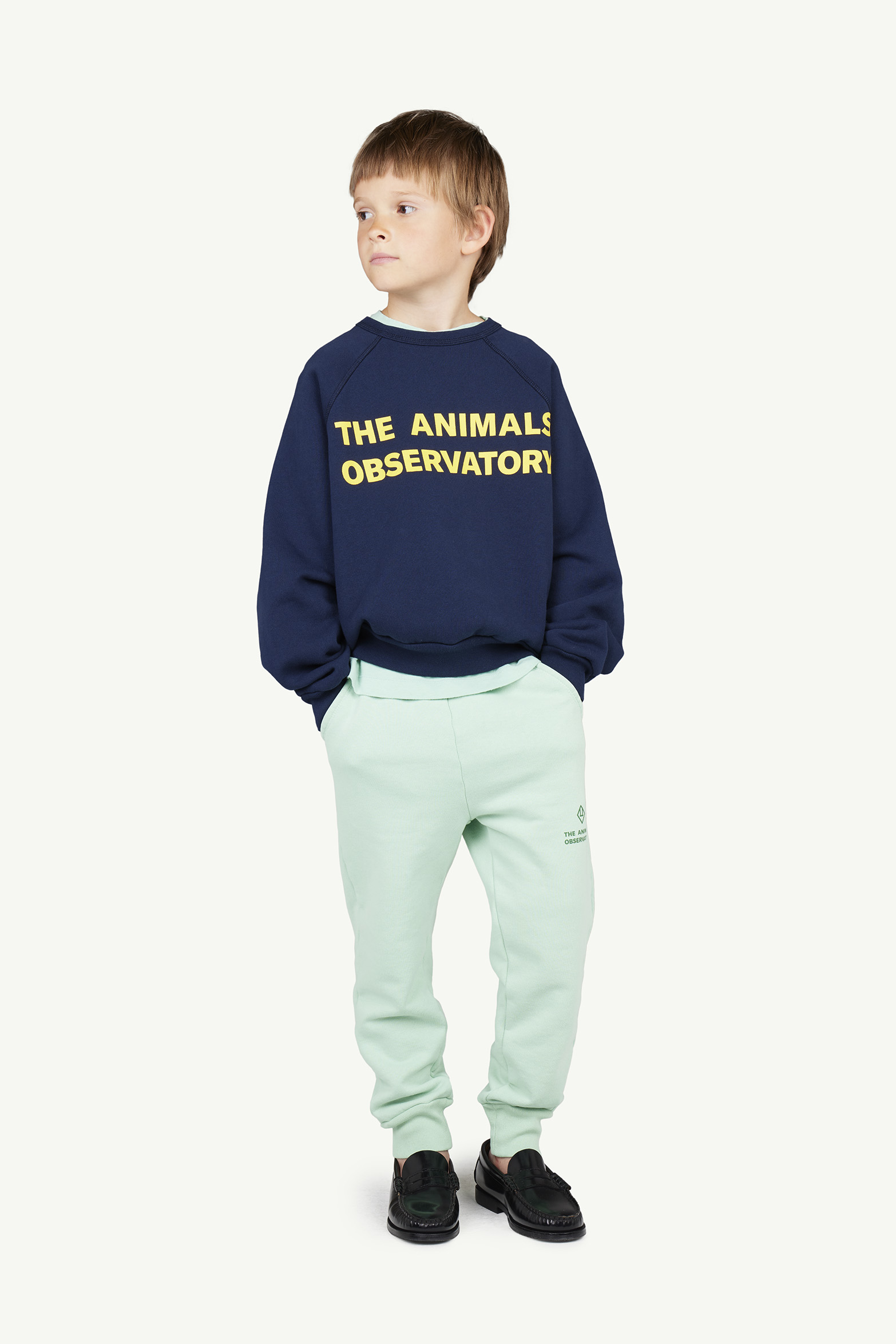 tao20) The Animals Observatory スウェット TAO - トップス(トレーナー) tao20) The Animals Observatory スウェット TAO - トップス(トレーナー)